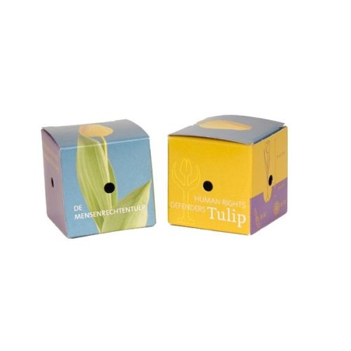 Mini Box mit Tulpenzwiebeln - Image 3